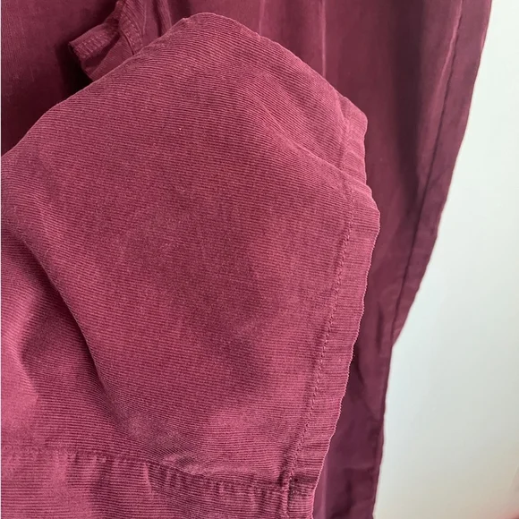 American Eagle Outfitters Burgundy Corduroy Pants - Picture 7 of 15
